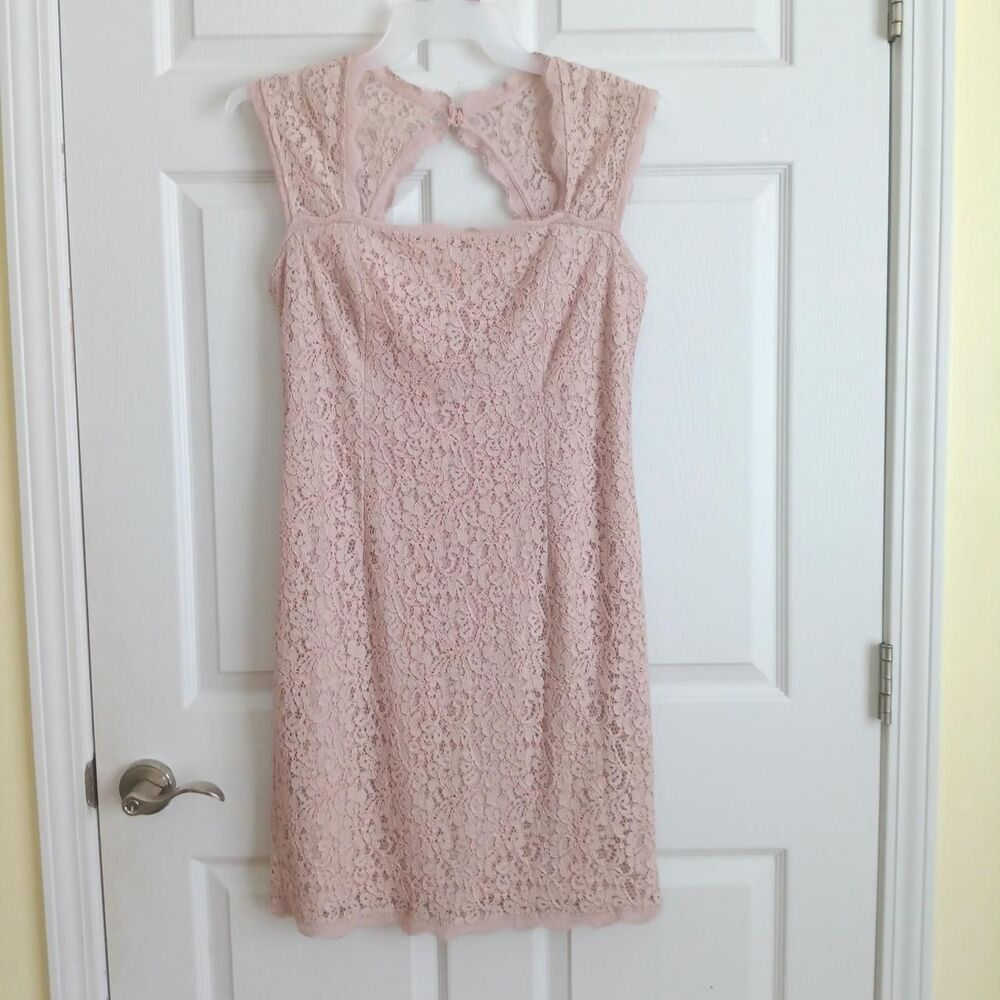 Adrianna Papell Blush Pink Floral Lace Cutout Sheath Dress Size 12